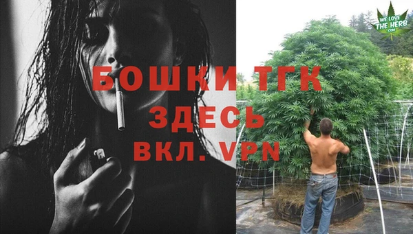 крисы Абдулино