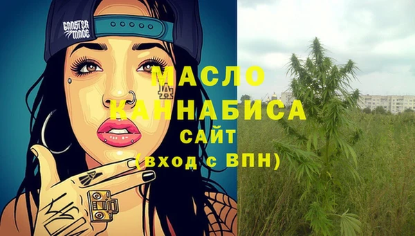 крисы Абдулино