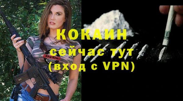 spice Алзамай