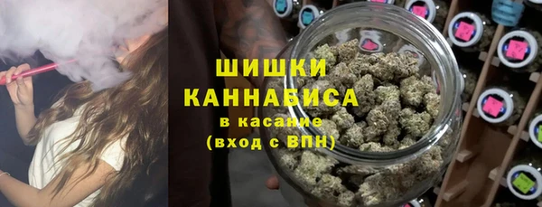 крисы Абдулино