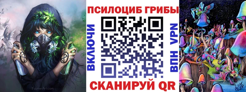 Галлюциногенные грибы Cubensis где можно купить shop как зайти Вичуга