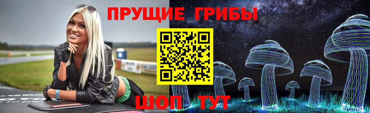 Галлюциногенные грибы GOLDEN TEACHER Вичуга