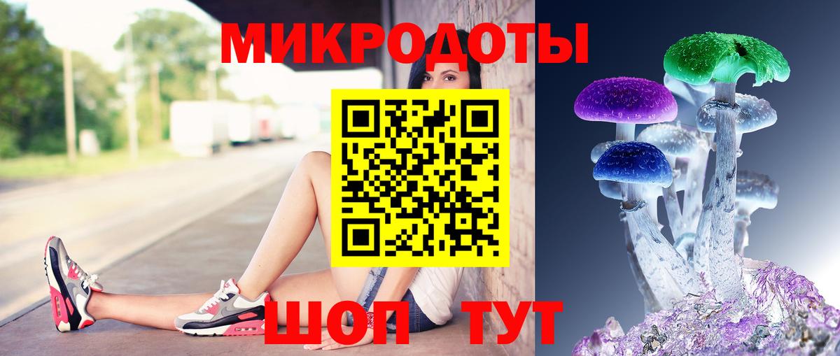 Псилоцибиновые грибы GOLDEN TEACHER  Псилоцибиновые грибы ЛСД  Вход с VPN  Вичуга 