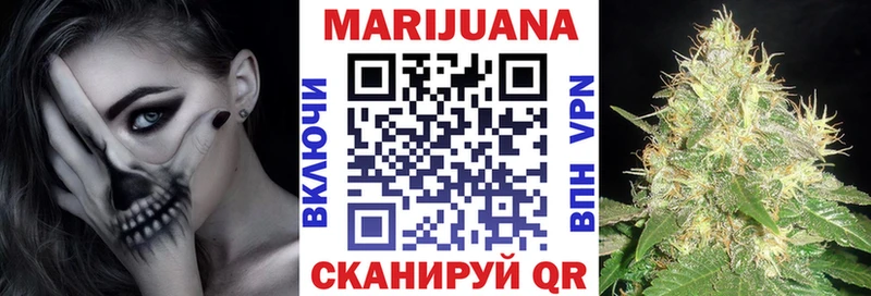 Канабис планчик Вичуга