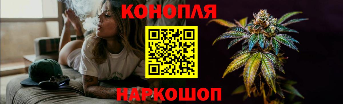 Каннабис OG Kush Вичуга